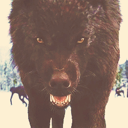 e222901cd1d118dd2adba741f78a5d1d