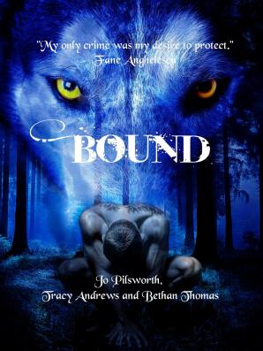 Bound Ebook Front V1
