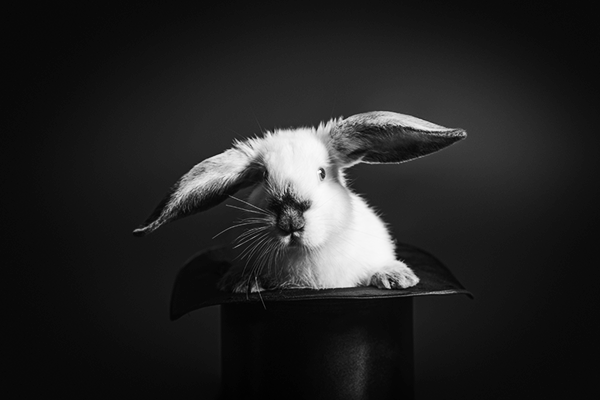 Budget-2015-A-rabbit-out-of-the-hat