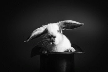 Budget-2015-A-rabbit-out-of-the-hat